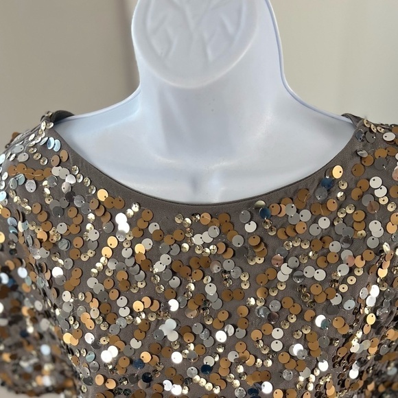 THE Limited Gold Silver Bronze Sequin Short Sleeve Gray Top Size XS - Picture 4 of 13